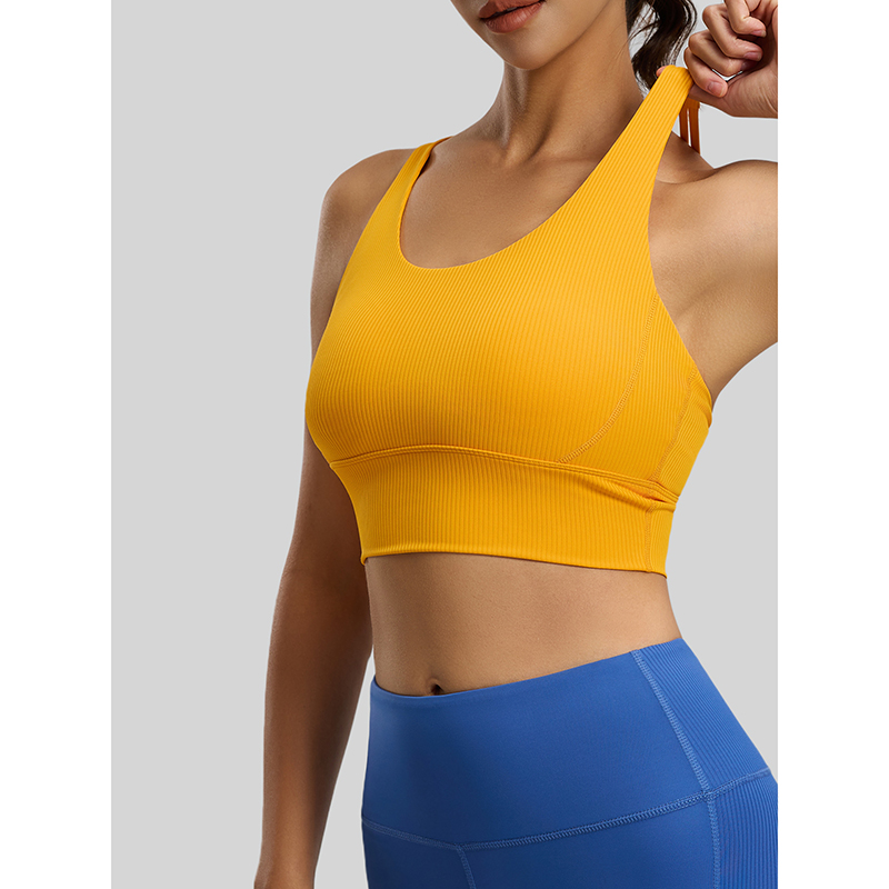 2026 New Women Ribbed High Imp - Sports Bra High Impact ulasan dan harga