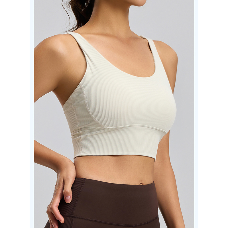 2026 New Women Ribbed High Imp - Sports Bra High Impact ulasan dan harga